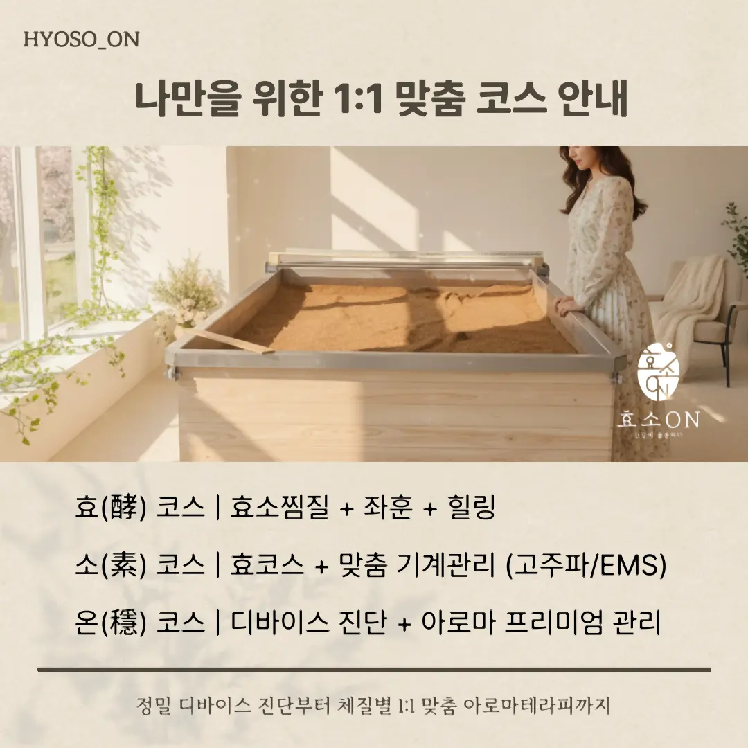 효소온 1:1 맞춤 코스 안내 — 효·소·온 코스 구성