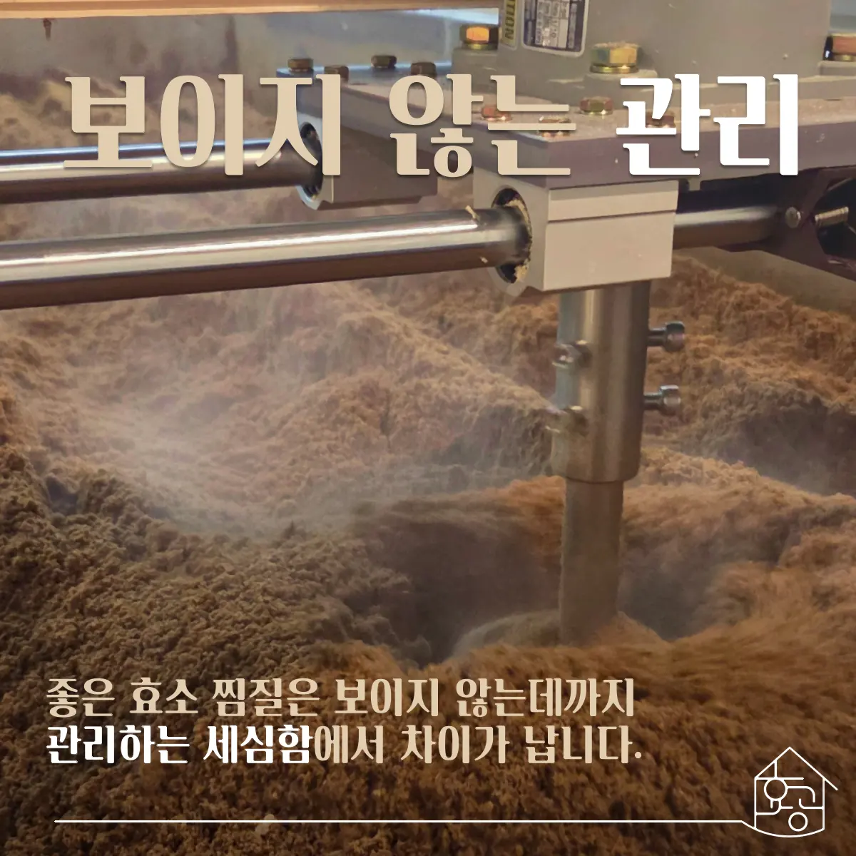 코디시스템 도입
