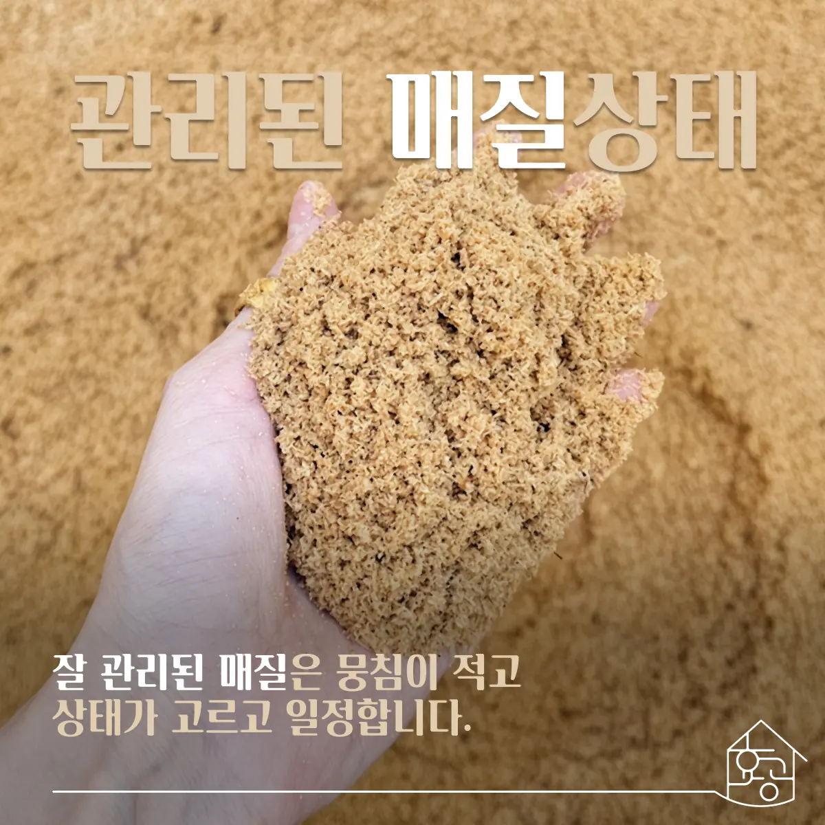 잘 관리된 효소 매질을 손에 쥔 모습