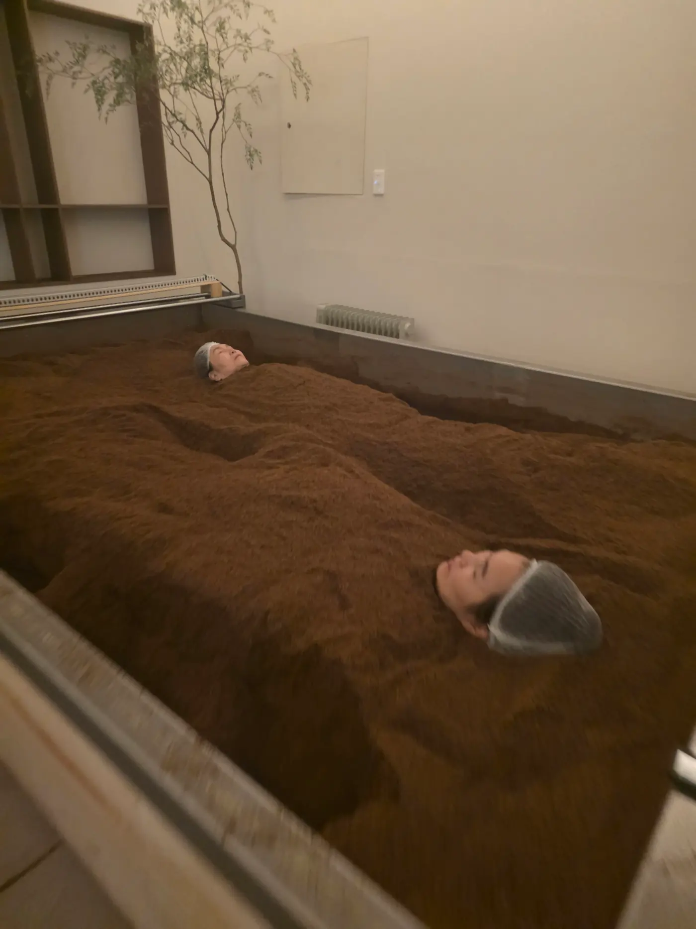 효소온 라운지